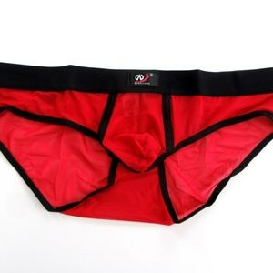 Red Mesh Brief